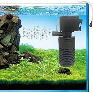 Common Types of Aquarium Filtration