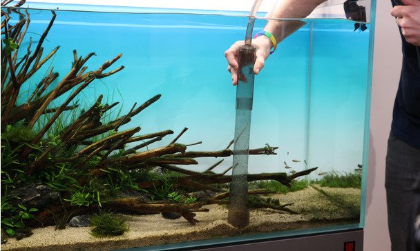 How to Prepare Aquarium Substrate for the Planted Aquarium